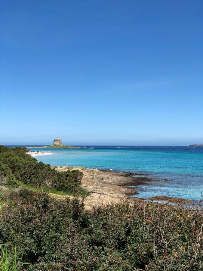 ستينتينو B&B Mare Di Fuori المظهر الخارجي الصورة